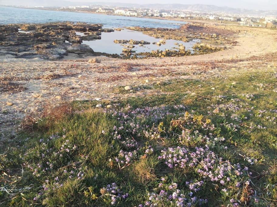 A Stone'S Throw From Everything Paphos Exterior photo